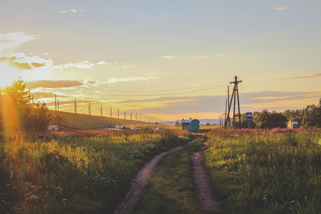 Campo de Hierba Verde Cerca Del Cuerpo de Agua Durante la Puesta de Sol. Wallpaper in 2560x1707 Resolution