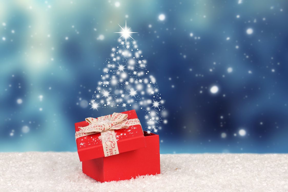 圣诞节那天, 冬天, 圣诞节, 圣诞树, 圣诞前夕 壁纸 6361x4241 允许