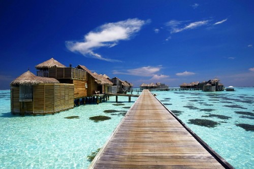 Image brown wooden dock on blue water under blue sky during daytime