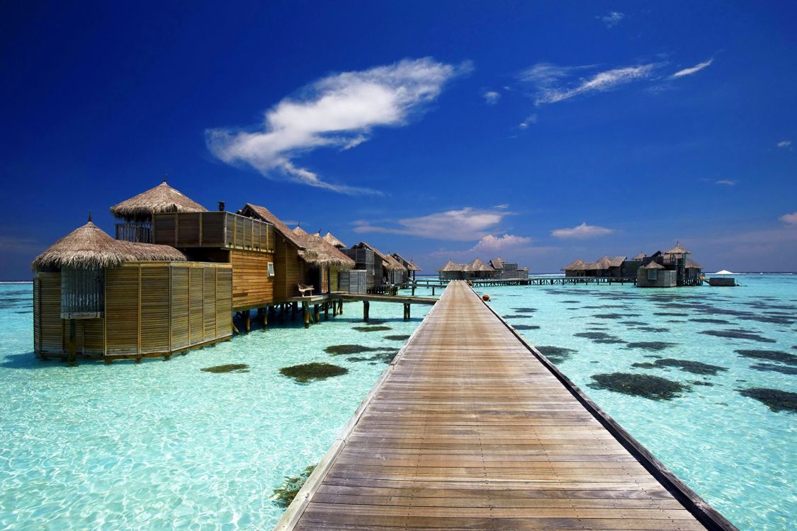 brown wooden dock on blue water under blue sky during daytime