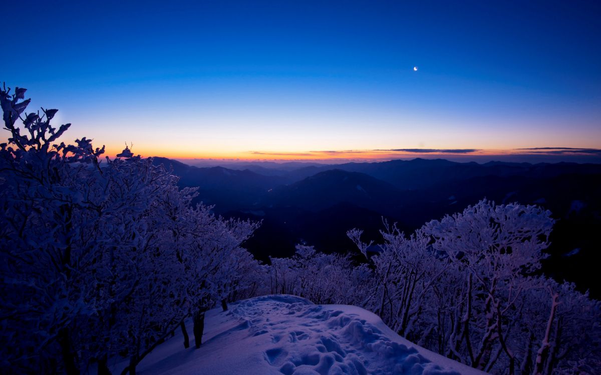 冬天, 日落, 性质, 荒野, 气氛 壁纸 2560x1600 允许