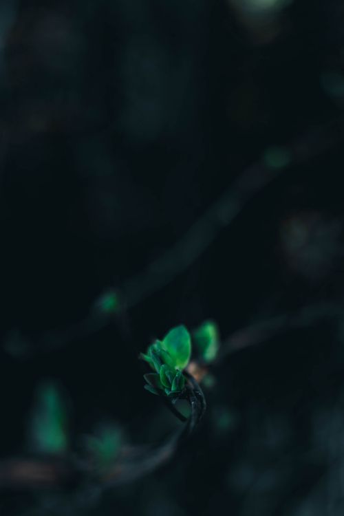 Green, Black, Water, Turquoise, Light. Wallpaper in 2810x4215 Resolution