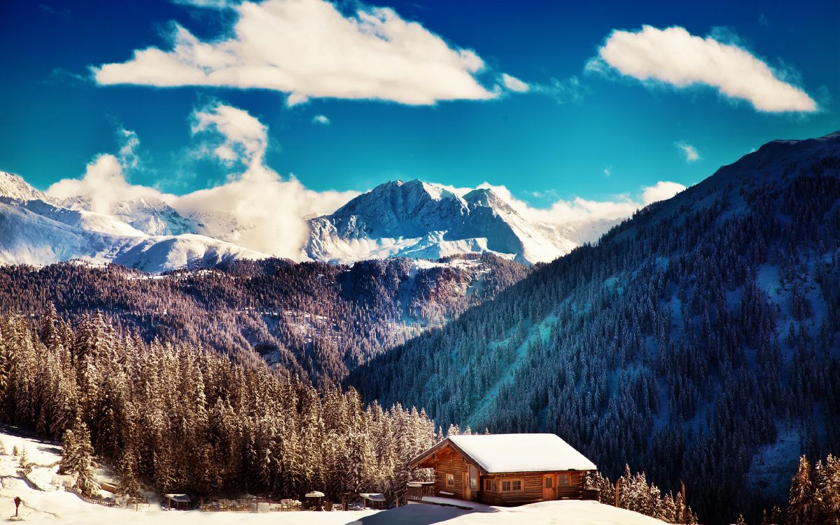 brown wooden house near green trees and mountain under blue sky and white clouds during daytime