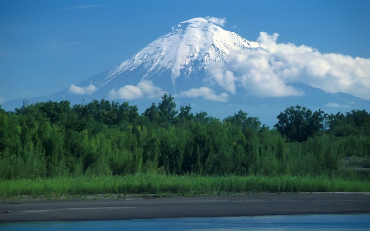 green trees near snow covered mountain under blue sky during daytime