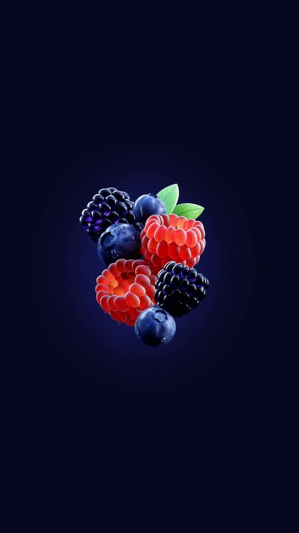 Fruta Negra, Arte de la Fruta, Vegetal, Frambuesa, Alimento. Wallpaper in 1080x1920 Resolution