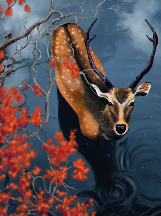 brown deer in water painting
