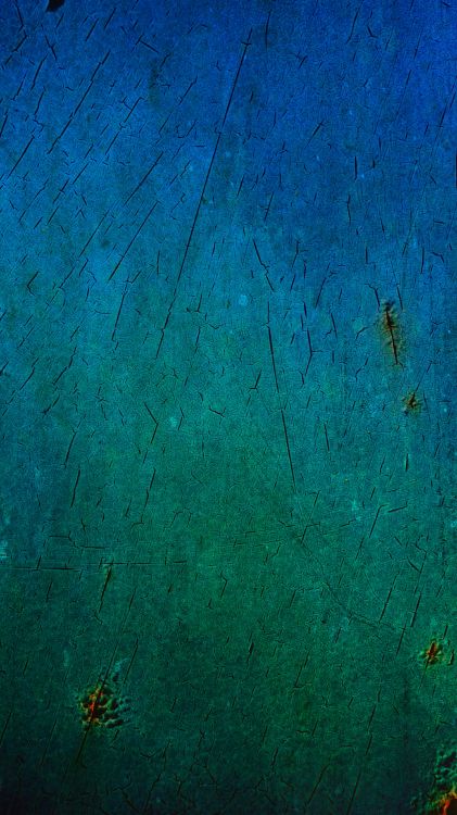 Braunes Insekt Auf Blau Gestrichener Wand. Wallpaper in 2304x4096 Resolution