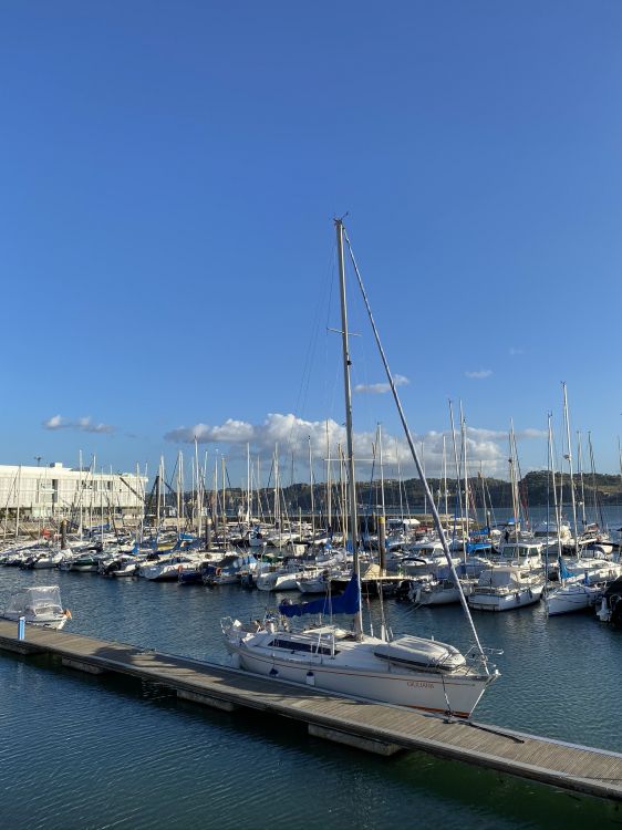 Marina, Yacht, Mât, Voile, Motomarine. Wallpaper in 1536x2048 Resolution