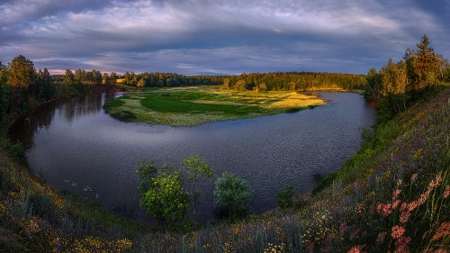 Image green trees beside river under cloudy sky during daytime