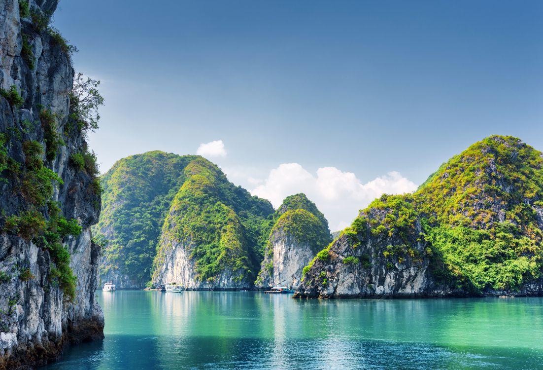 green trees on island during daytime