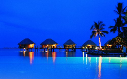 Image brown and green wooden house near palm trees during night time