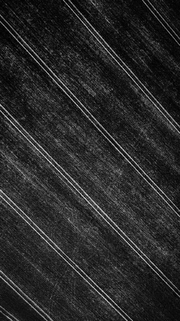 Image monochrome, plank, white, grey, black and white