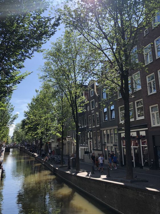 Kanal, Wasser, Wasserlauf, Baum, Fenster. Wallpaper in 1536x2048 Resolution