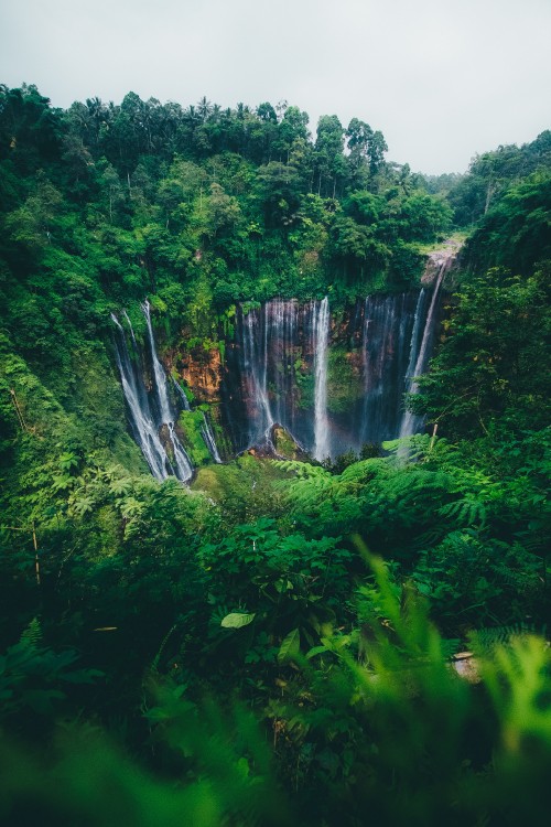 Image waterfall, natural landscape, nature, water resources, body of water