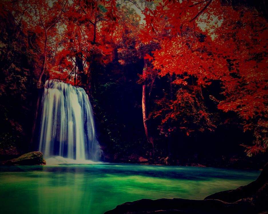 性质, 水道, 反射, 人体内的水, 水的特征 壁纸 2560x2048 允许