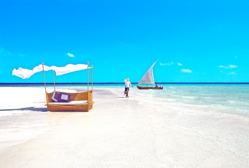 Image person in blue shirt standing on beach during daytime