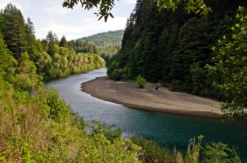 Image green trees beside river during daytime