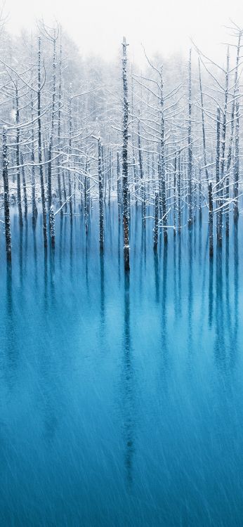 IOS 7, Ipod Touch, Ios, Äpfeln, Wasser. Wallpaper in 1125x2436 Resolution