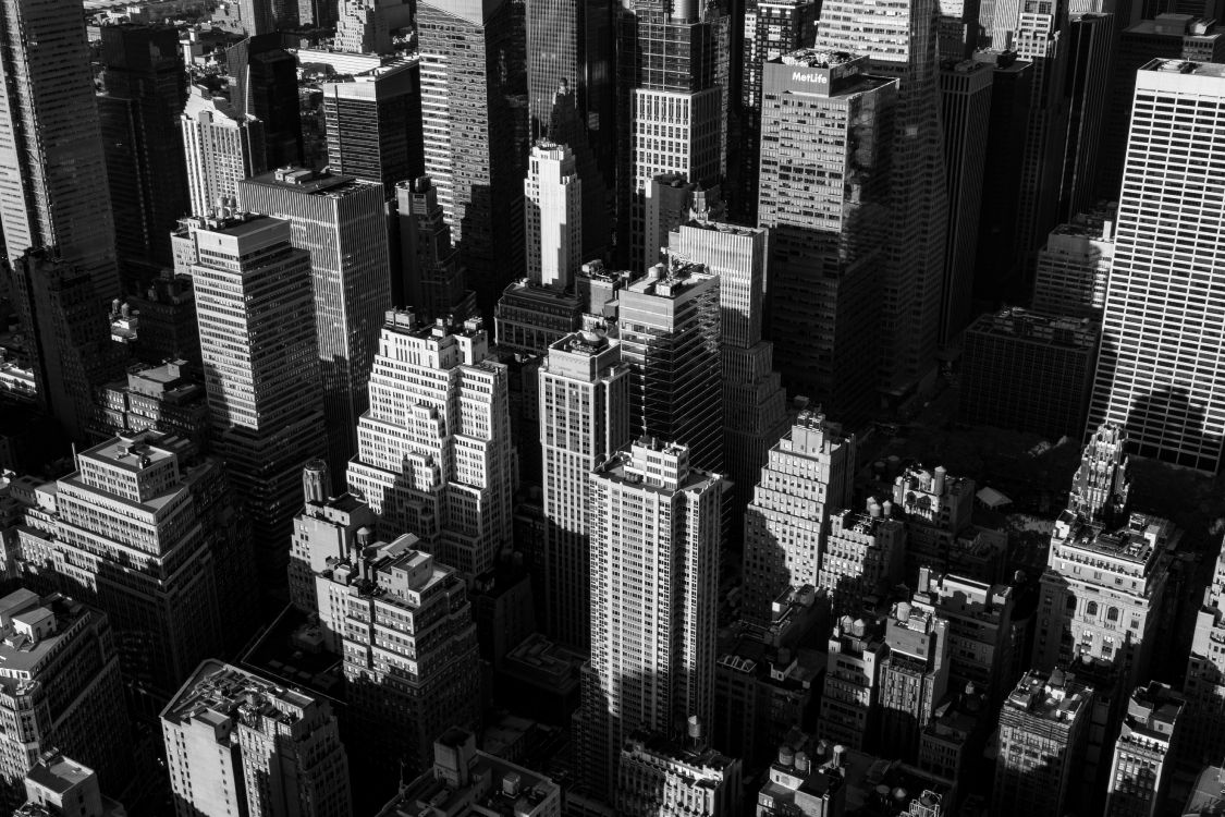 grayscale photo of city buildings