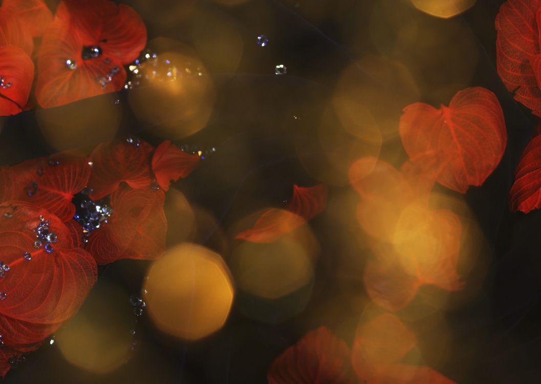 Lumières Bokeh Rouges et Jaunes. Wallpaper in 5057x3590 Resolution