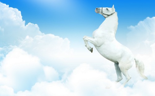 Image white horse statue under blue sky