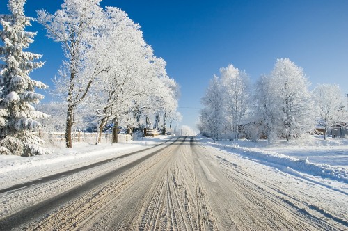 Image snow covered road between trees during daytime