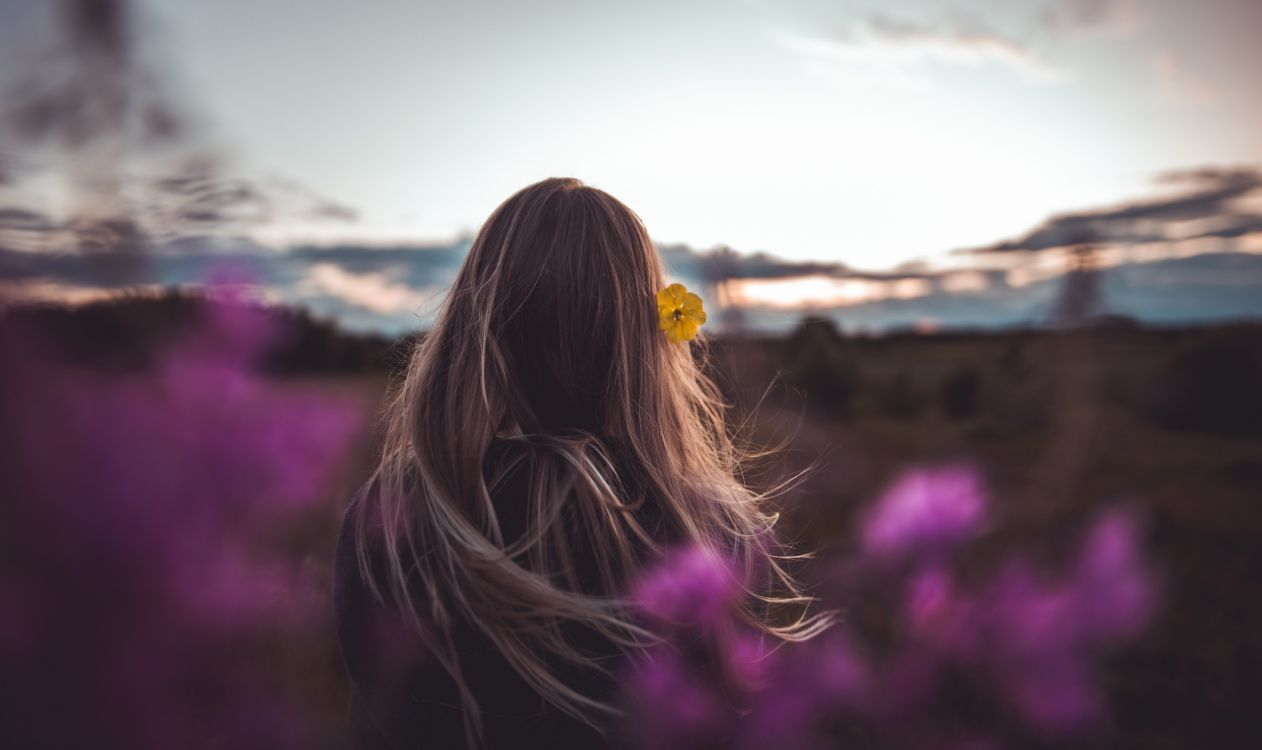 hair, purple, beauty, pink, light