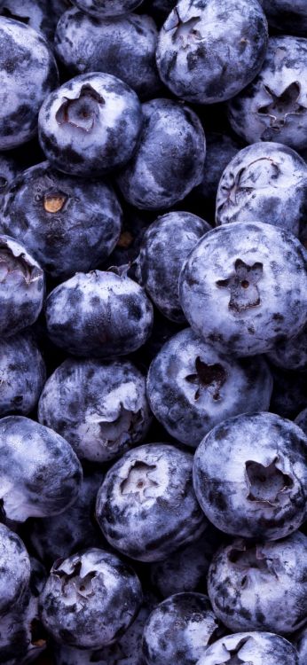 Fruits, Aliment, Les Aliments Naturels, Sans Pépins Fruits, Myrtille. Wallpaper in 1080x2340 Resolution