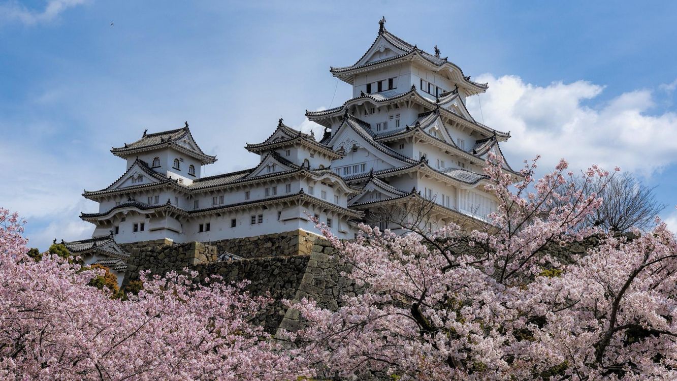 姬路城 大坂城堡 日本城堡 城堡 植被高清壁纸 花卉图片 桌面背景和图片