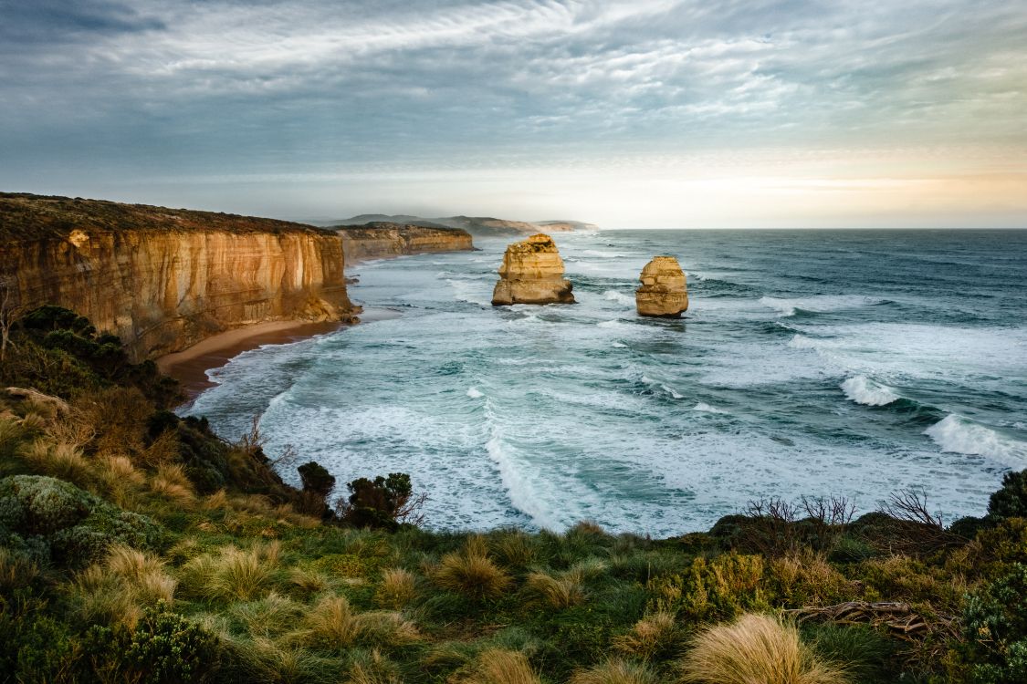 school for field studies australia, australia, the school for field studies, education, school