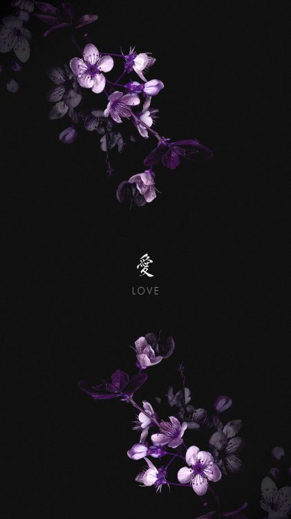 Wisgoon - Réseau Social, Pétale, Purple, Plante Terrestre, Violette. Wallpaper in 4320x7680 Resolution