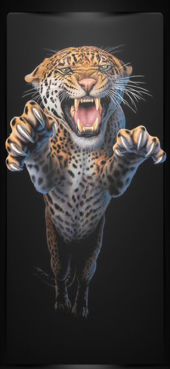 Citations de Lion Fort, Lion, Tigre, Rugissement, Big Cat. Wallpaper in 1080x2340 Resolution