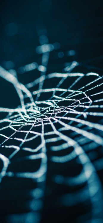 Wasser, Azure, Terrestrische Pflanzen, Naturmaterialien, Kunst. Wallpaper in 1420x3073 Resolution