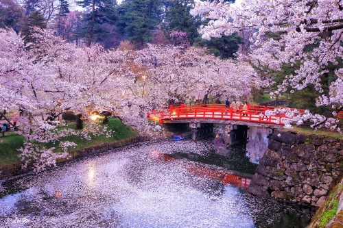 Image red bridge over river during daytime