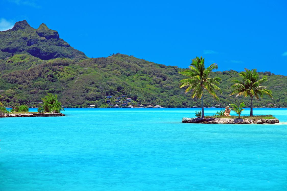 波拉波拉岛, 热带地区, 沿海和海洋地貌, 大海, 加勒比 壁纸 5616x3744 允许