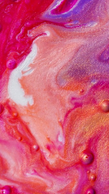 Image close up, still life, red, pink, orange