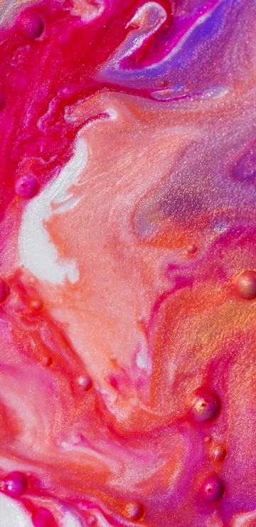 Image close up, still life, red, pink, orange