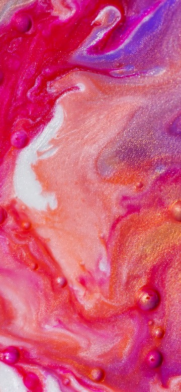 Image close up, still life, red, pink, orange