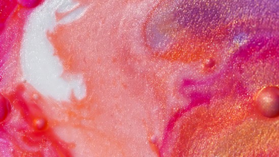 Image close up, still life, red, pink, orange
