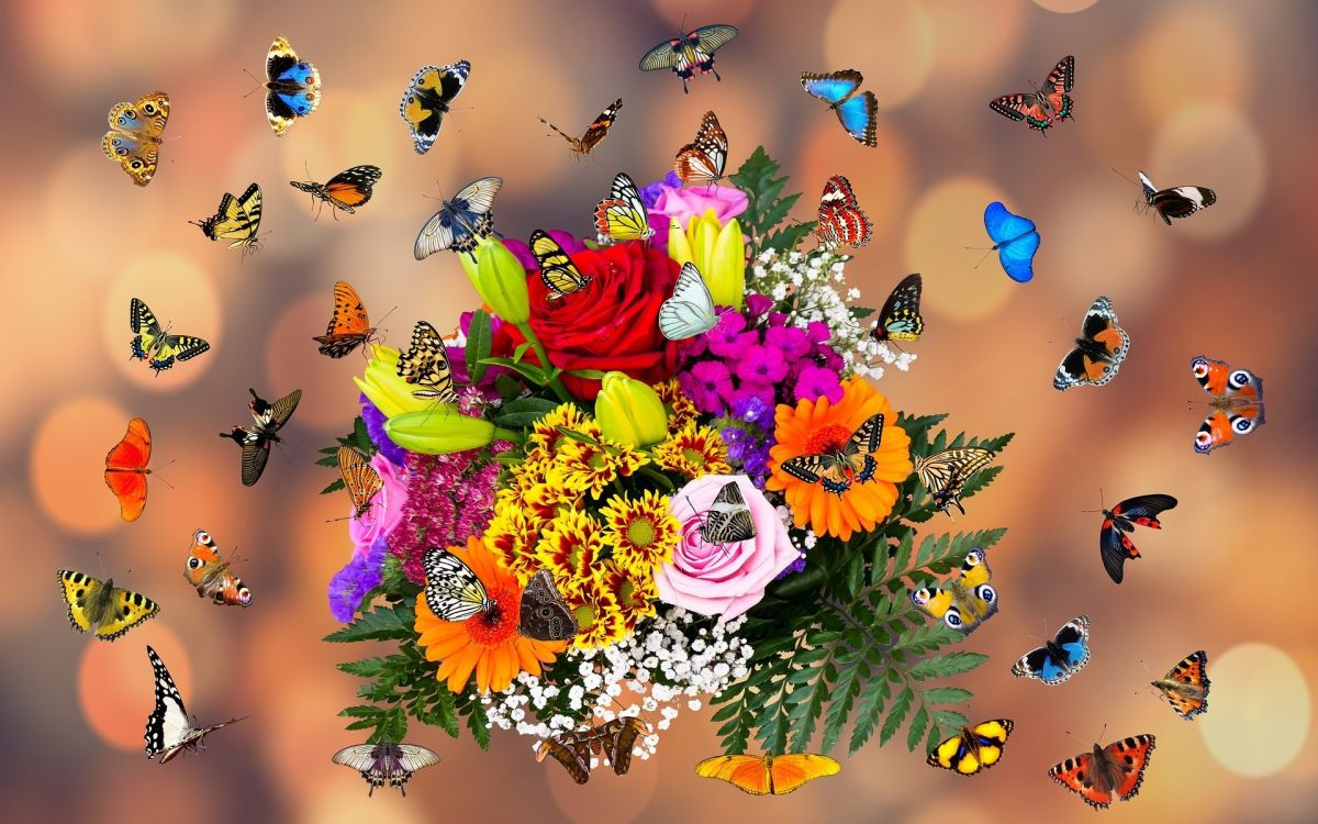 Flores Amarillas y Rosadas Con Mariposas. Wallpaper in 1920x1200 Resolution