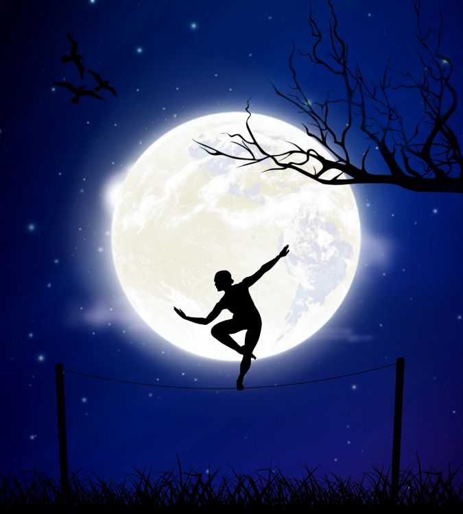 Silhouette D'oiseau Volant Au-dessus de la Lune. Wallpaper in 3630x4030 Resolution