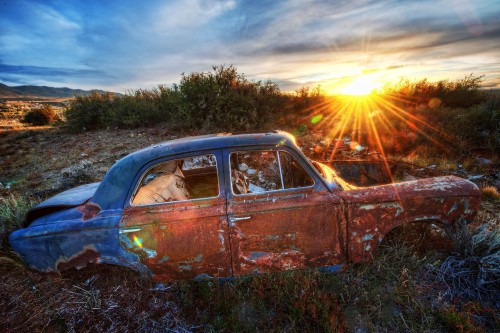 Image brown vintage car on green grass field during sunset