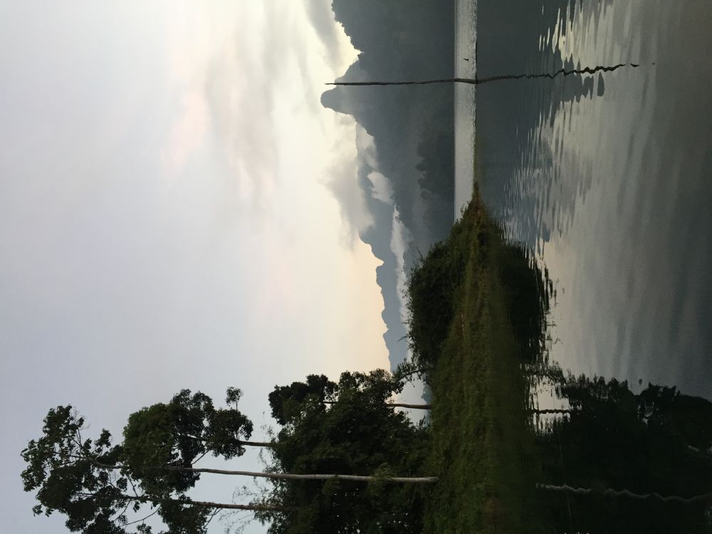 Nature, la Journée, Atmosphère, Plantes Ligneuses, Biome. Wallpaper in 3264x2448 Resolution