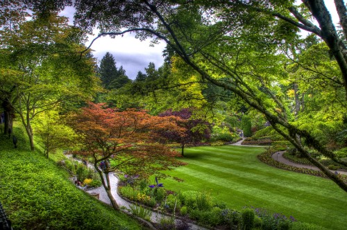 Image green and brown trees on green grass field under blue sky during daytime