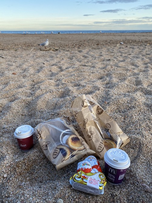 Image sand, water, soil, aluminum can, landscape