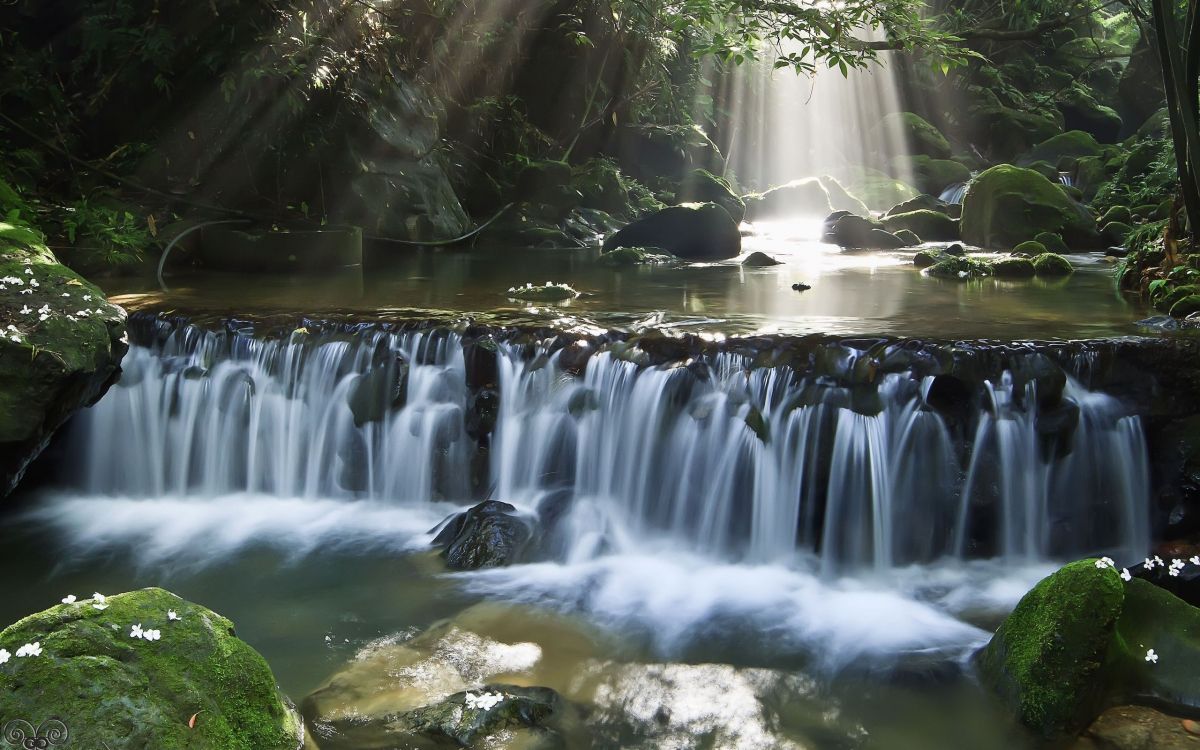 Wasserfälle Mitten im Wald. Wallpaper in 2560x1600 Resolution