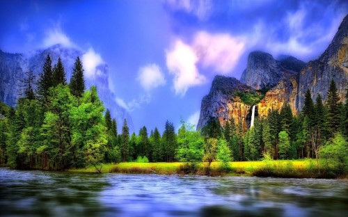 Image green trees near river under blue sky during daytime