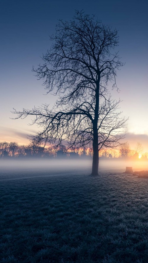 Image sunrise, earth, atmosphere, cloud, natural landscape