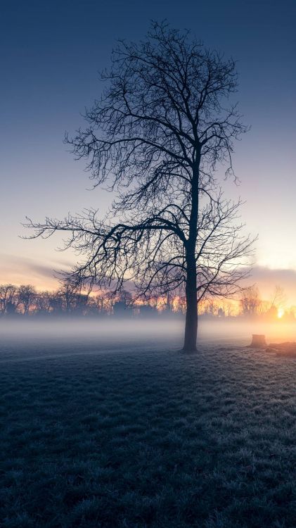 sunrise, earth, atmosphere, cloud, natural landscape