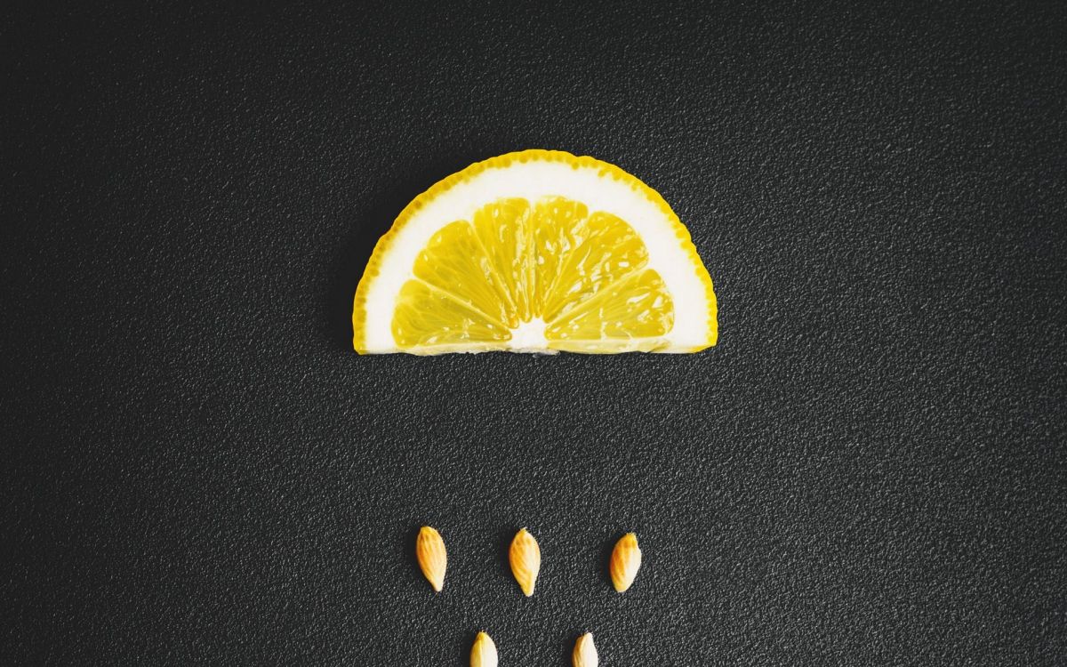 Naranja, Alimento, Valencia Naranja, Clementine, Rangpur. Wallpaper in 1920x1200 Resolution